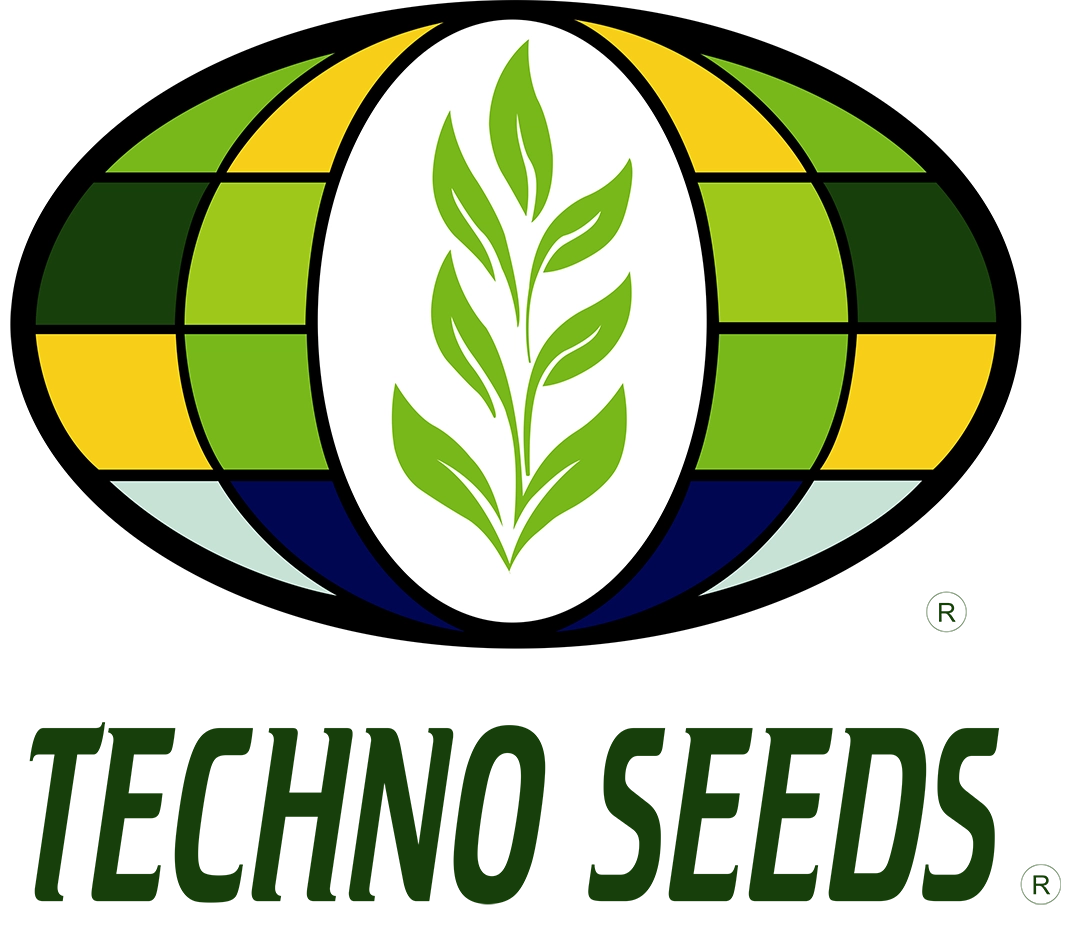 Techno Seeds
